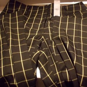 New York & Company  7th avenue suiting collection